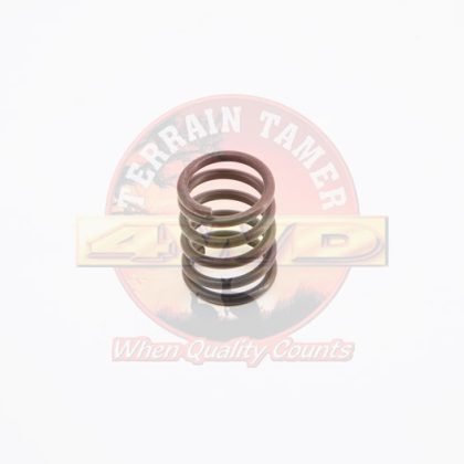 SPRING REAR BRAKE SHOE HOLD DOWN